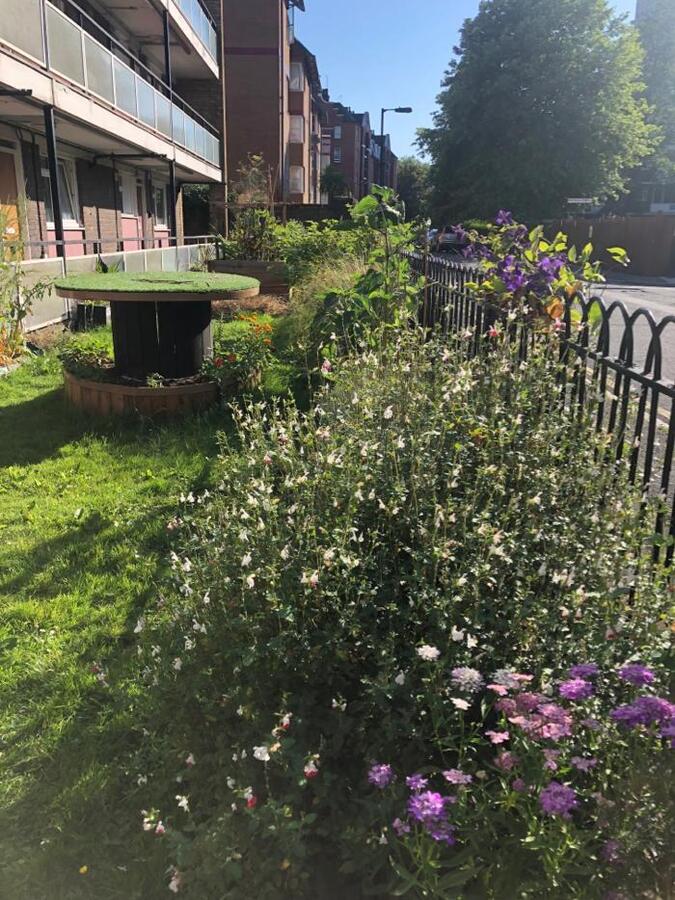 Photo from debmitchener(1)